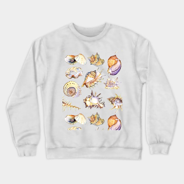 Sea shells set conch, pearl shell, scallop, clam Crewneck Sweatshirt by victoriazavyalova_art